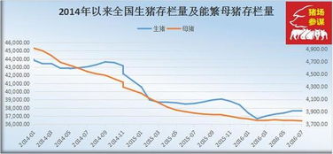 独出新裁
