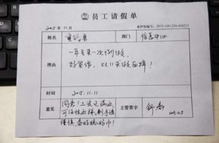 眉目如画