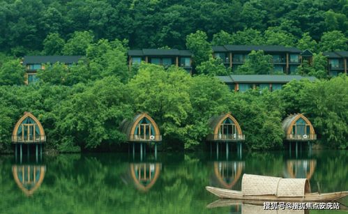 shuoguojincun