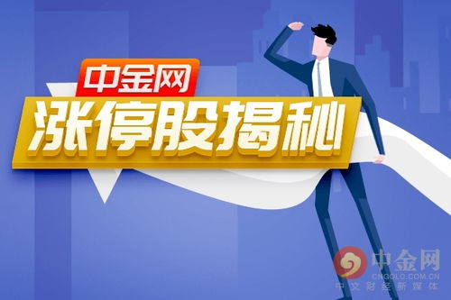 鸟云之阵