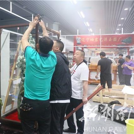 大象新闻聚焦，最新动态与保护成果全揭秘