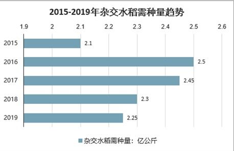 全球水稻市场趋势深度解析